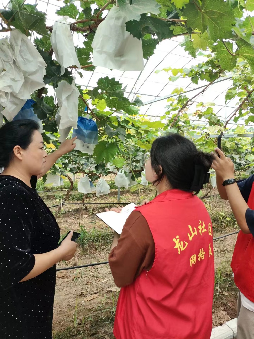 07dec8ad59ad458c985e69e056753ef3.jpg 07dec8ad59ad458c985e69e056753ef3.jpg