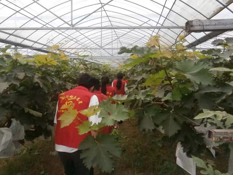 95146d34e09e483c949c6c54497b9518.jpg 95146d34e09e483c949c6c54497b9518.jpg