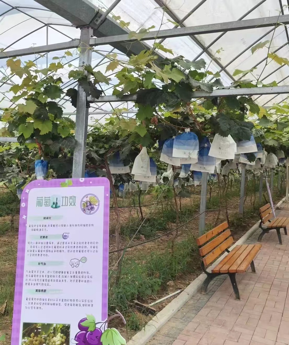 9d7dda55eb69418e949e21906b9b5993.jpg 9d7dda55eb69418e949e21906b9b5993.jpg