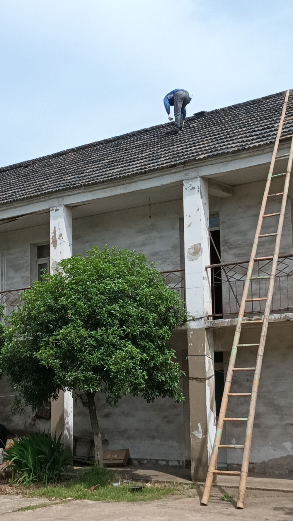 da49b33b5736420a9ae02c4338148d66.png da49b33b5736420a9ae02c4338148d66.png