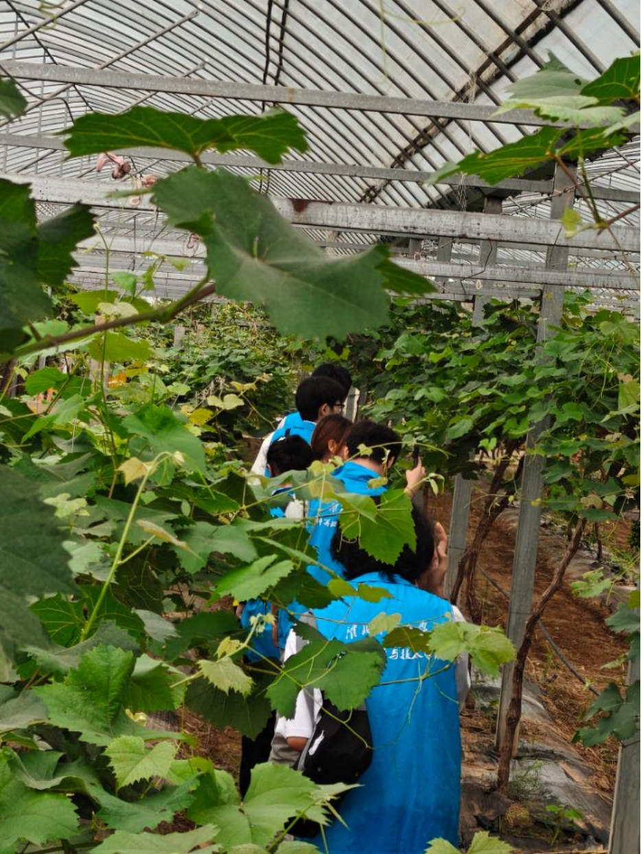 1f96b76a827f4b27a2ae40e33edb5a76.png 1f96b76a827f4b27a2ae40e33edb5a76.png